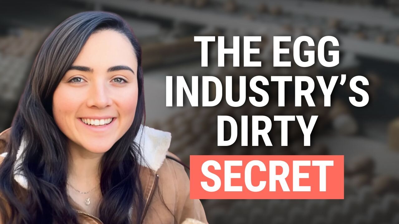 PUFAs in “Healthy” Eggs?: The Truth About Conventional, Organic & Pastured Eggs | Ashley Armstrong