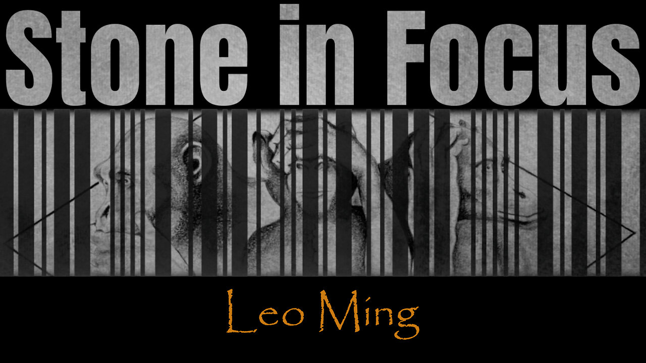 Leo Ming l Stone In Focus S1E7 l Tai Chi Master