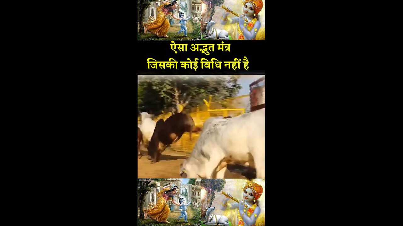 Shri Rajendra Das Ji Maharaj | ऐसा अद्भुत मंत्र जिसकी कोई विधि नहीं | Must Watch | #shortsfeed
