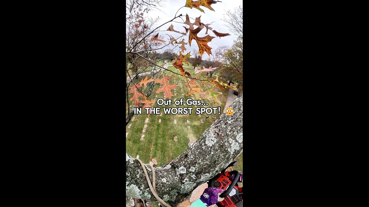 Chainsaw QUITS MID-CUT! 😱