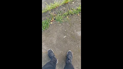morning view