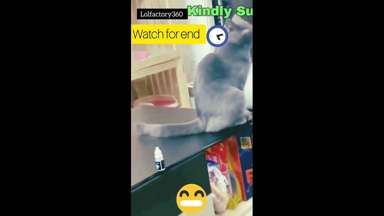 “Ultimate Cat vs Dog Comedy – Too Funny to Miss!” 😂🤣
