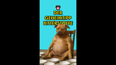 Ein echter Geheimtipp: Bitterstoffe