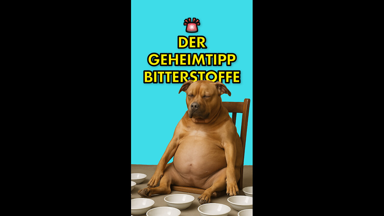 Ein echter Geheimtipp: Bitterstoffe