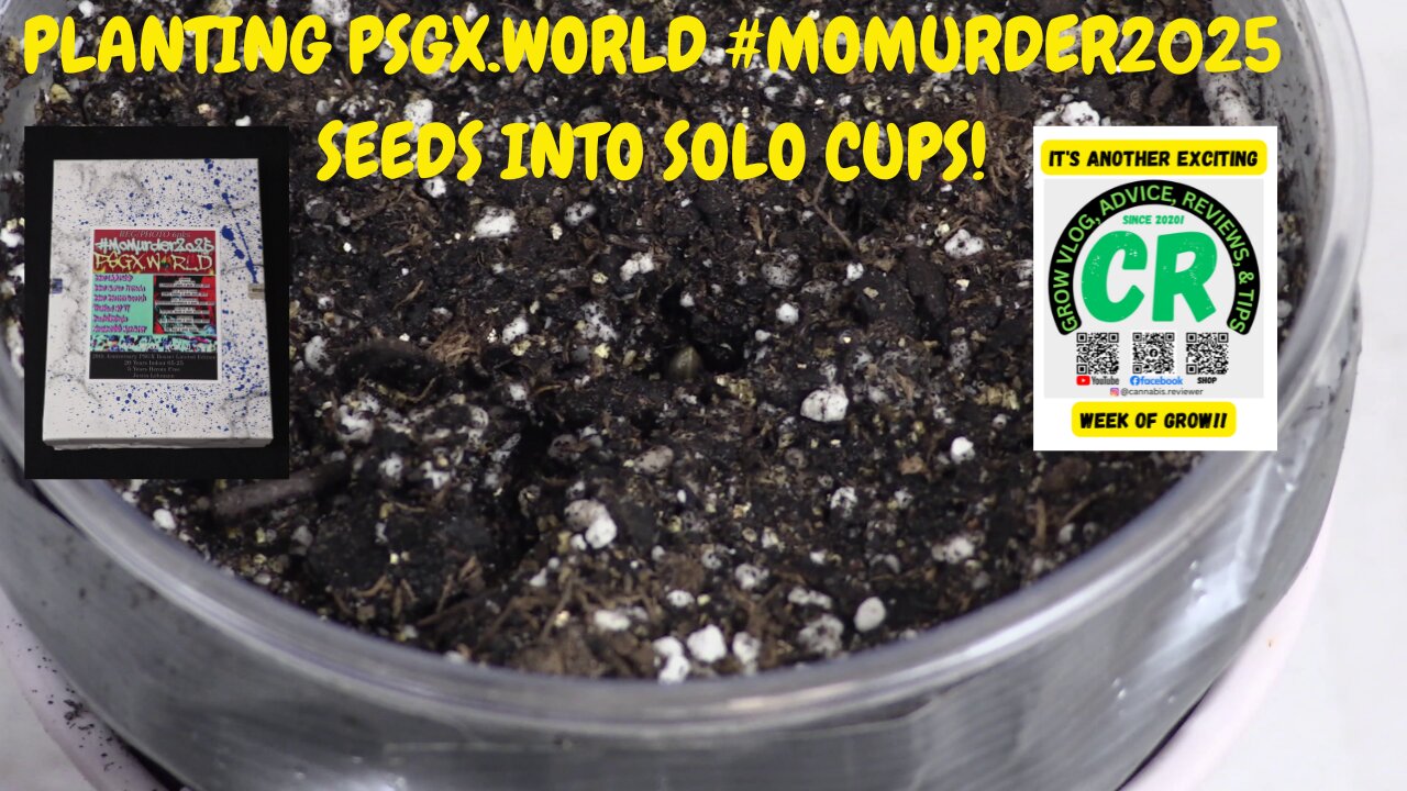 CR's 2025 Spring Grow - Planting #MoMurder2025 20th Box Set Seeds & Showing New Grow Setup!