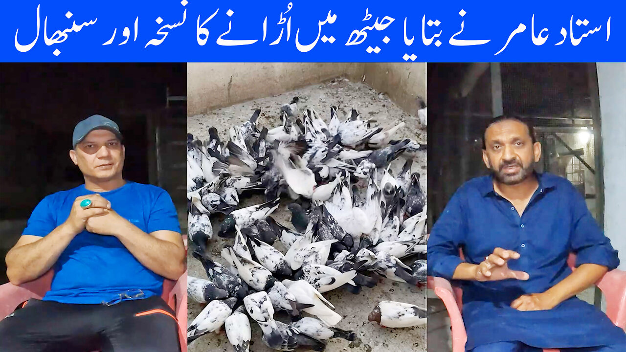 Ustad Amir Shared A Recipe For Flying Pigeons In The Heat Of May And June Watch In HD Urdu/Hindi