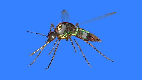 How a mosquito works