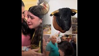 Así reacciona una niña al ver un animal disecado