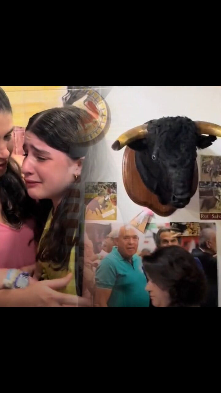 Así reacciona una niña al ver un animal disecado