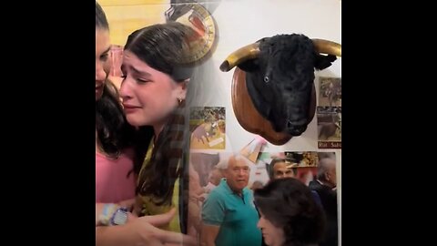 Así reacciona una niña al ver un animal disecado
			