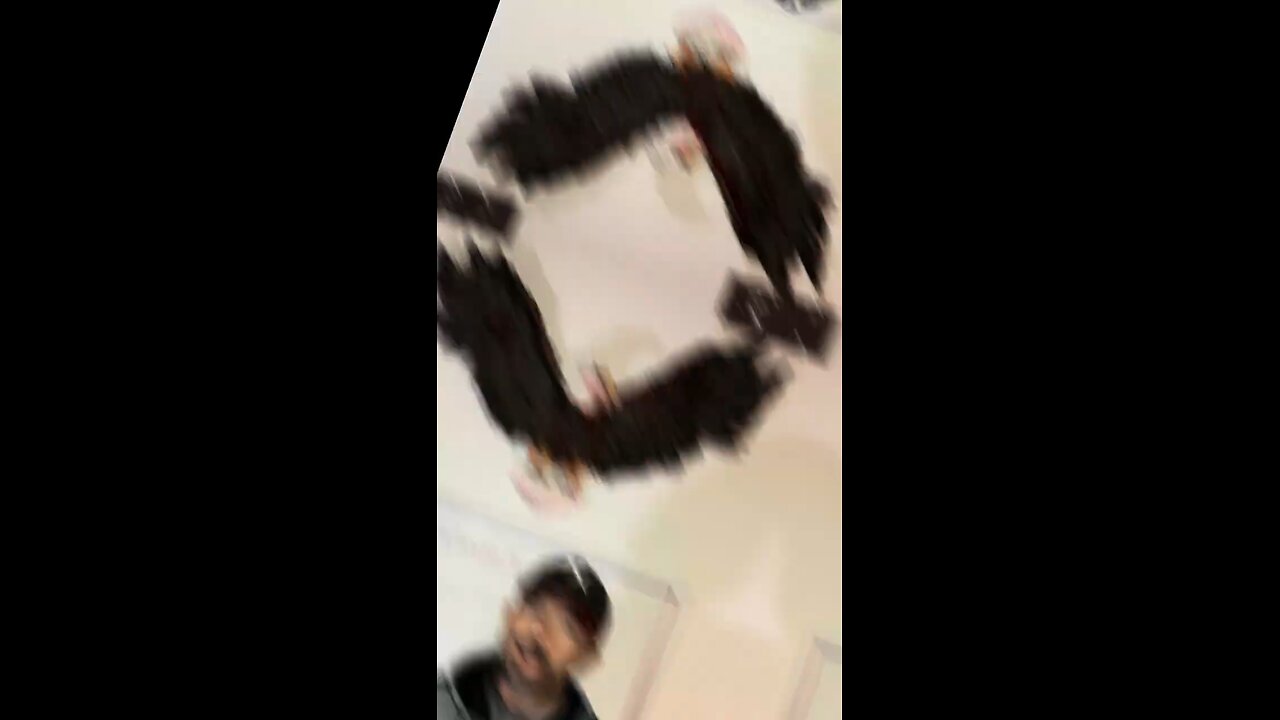 About man’s best friend!