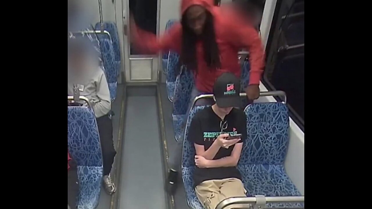 The Murder of Iryana Zarutska by a Black Male in Charlotte | Life in The Alien Nation