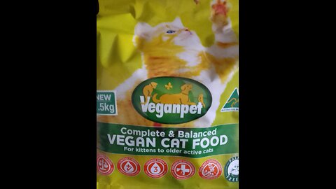 Mumi 😻 Taste Tests Veganpet Biscuits - Let's see if she likes them?