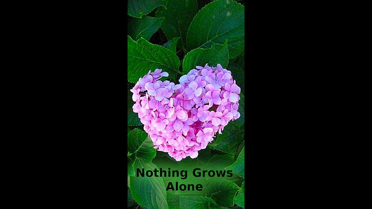 Libby 🎈 499 ~ Nothing Grows Alone