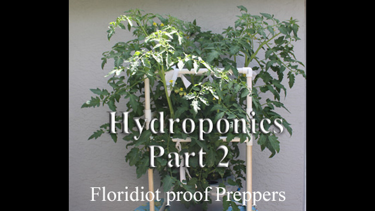 Hydroponics For Floridiots Part 2