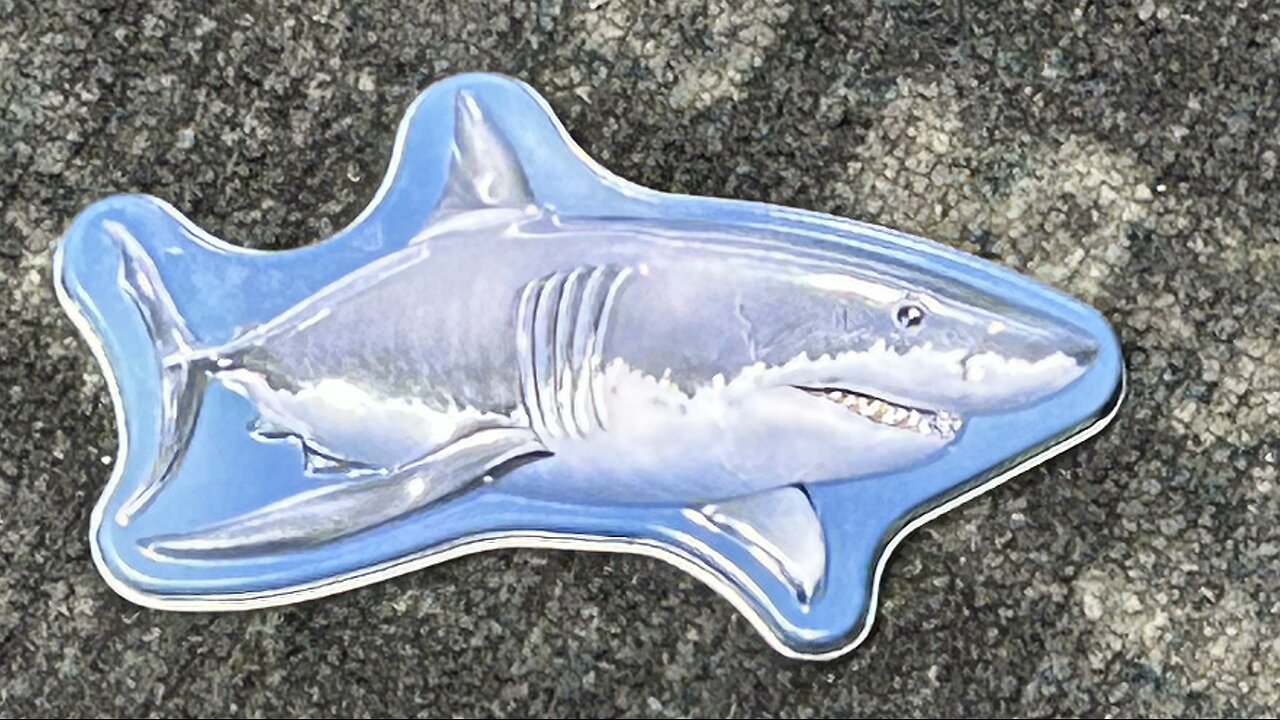 Shark in the airport