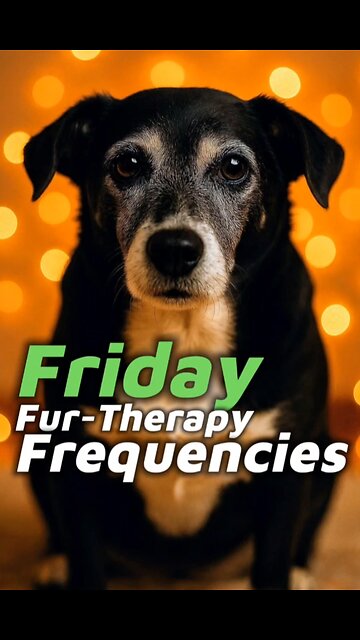 Friday Fur-Therapy Frequencies