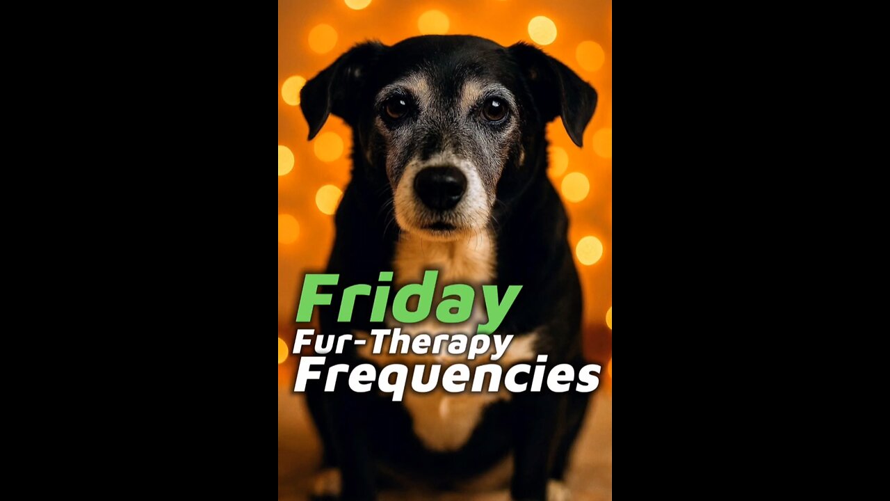 Friday Fur-Therapy Frequencies