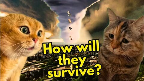 Two Cats Have to Survive a Tornado (Ep.12)