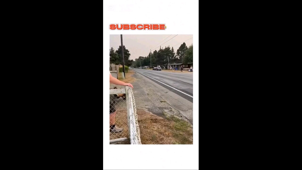 insane yamah croos chasing by police#policechase #police #chase #funny #everyone #yamaha USA #usa