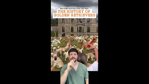 The history of golden retrievers