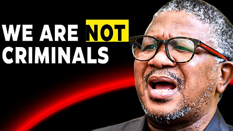 "We Did Nothing Wrong" Corrupt ANC Ministers DENY Criminal Accusations