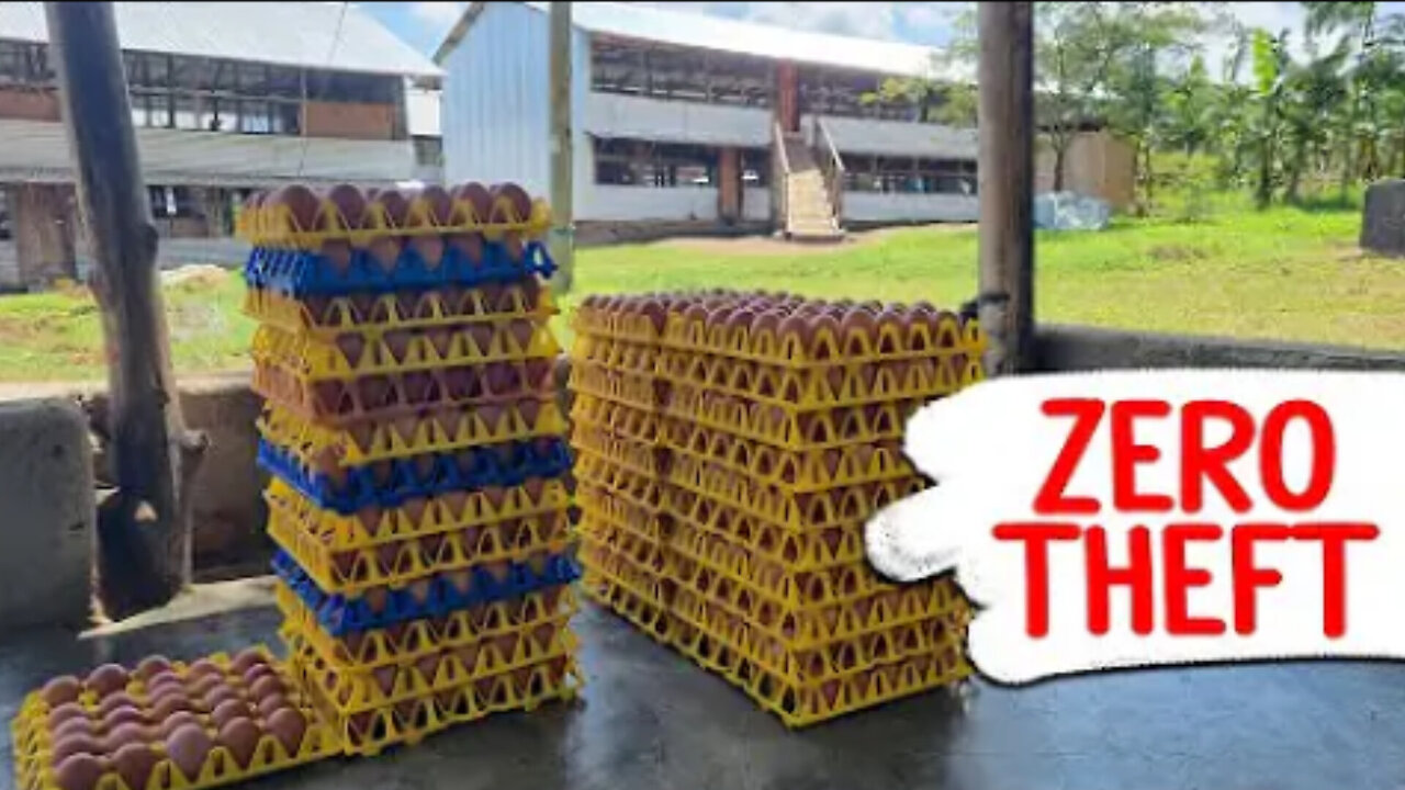 Why Thieves Always Avoid My Farm | My Secret Revealed!