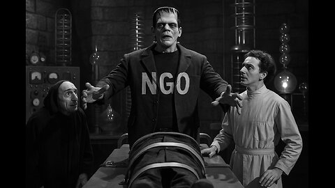 THE WEAPONIZATION OF NGOS: A CRITICAL LOOK AT THEIR ROLE IN POST-WAR AMERICA