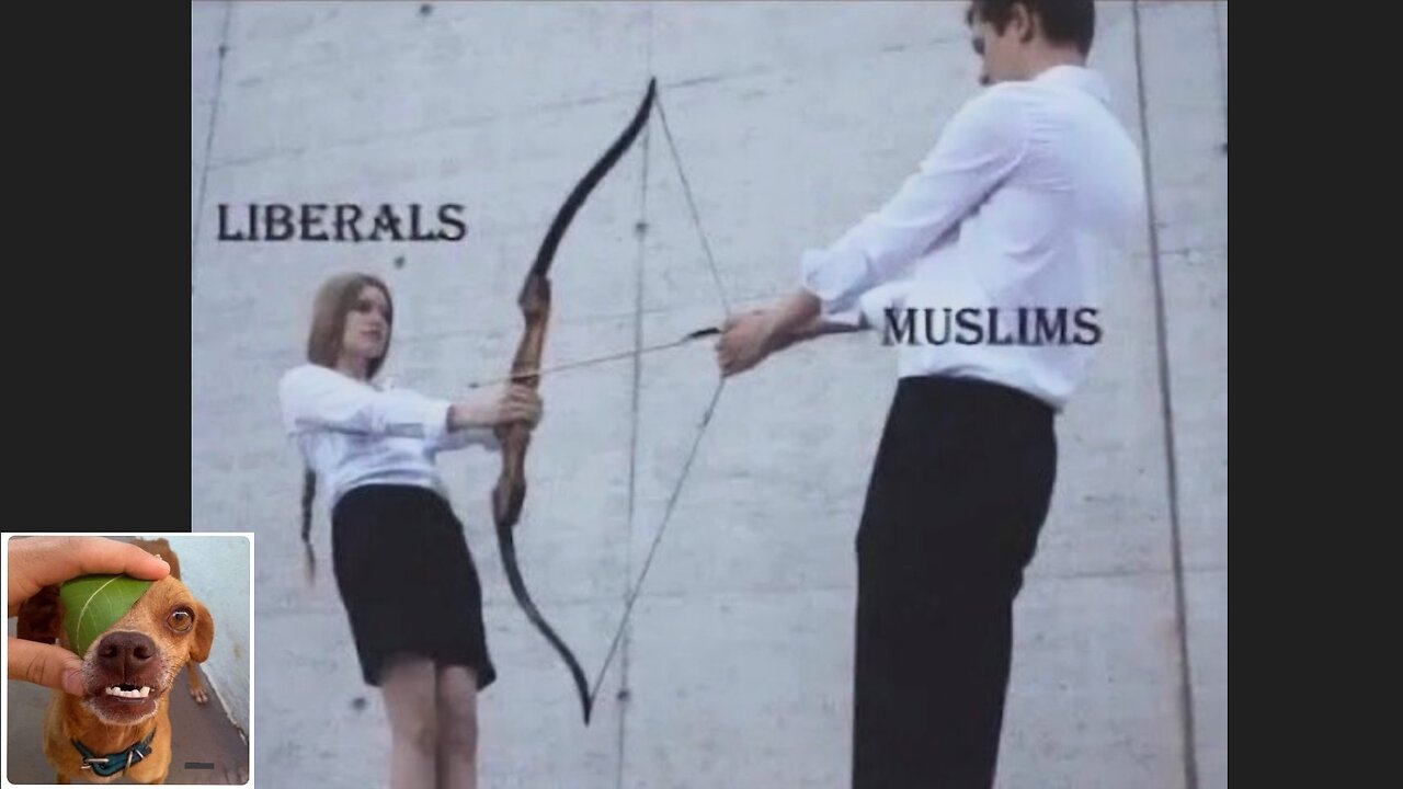 Memes That Will 99.0512% Make You Laugh. (e736)