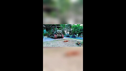 When life is Lazy.. #dog #lazytime #armytruck