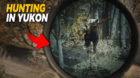 Moose and Caribou hunting in Yukon | theHunter: Call of the Wild