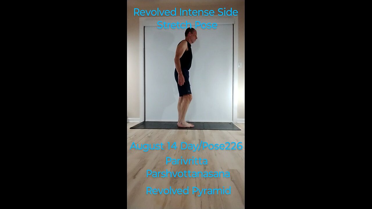 Parivritta Parshvottanasana / Revolved Intense Side Stretch Pose / Revolved Pyramid