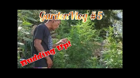 A Clip from GardenVlog #5