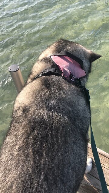 Saturday June 21, You prepare a feast for me.