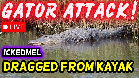 ALLIGATOR ATTACK! Kayaker Dragged Into Lake at Kissimmee State Park | Florida Wildlife Alert