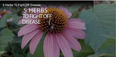 "Five Natural Herbs for Disease Prevention"