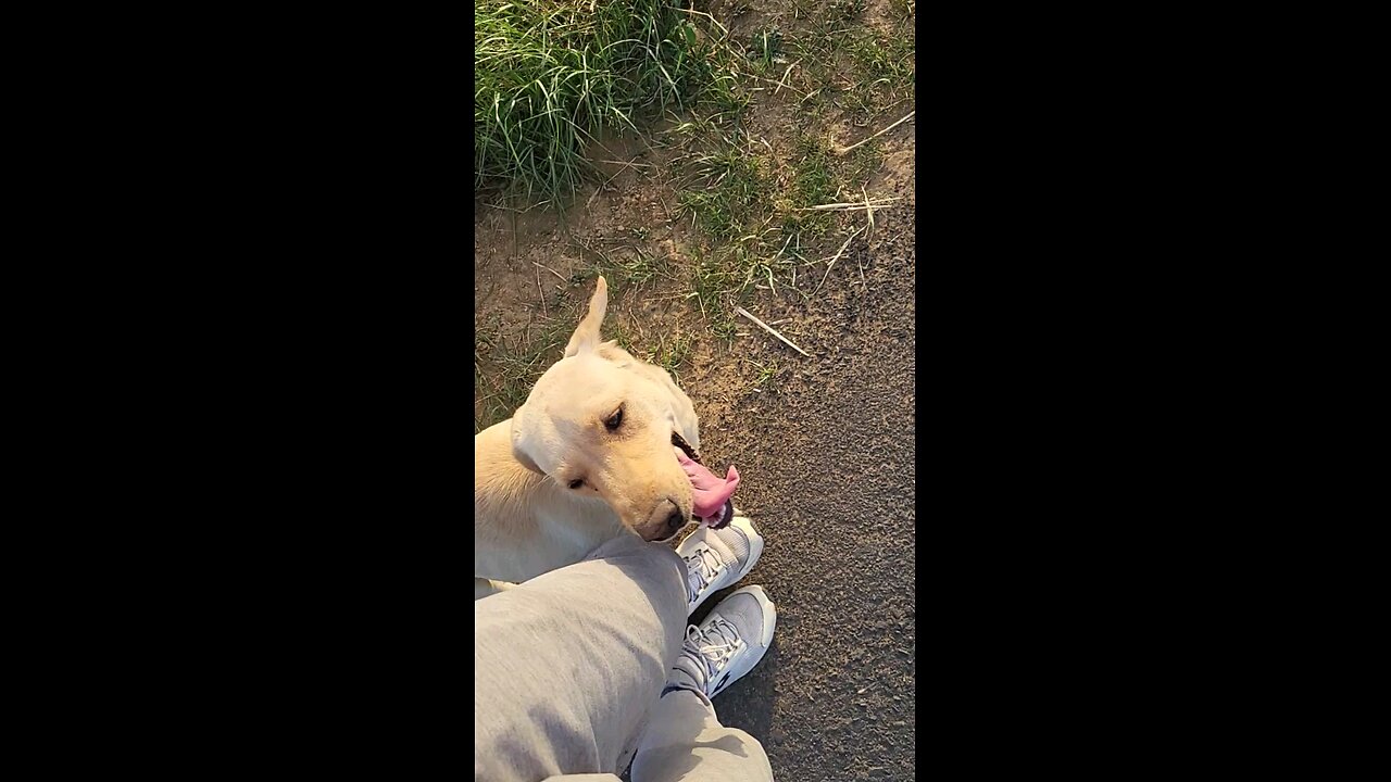 running with dog😃