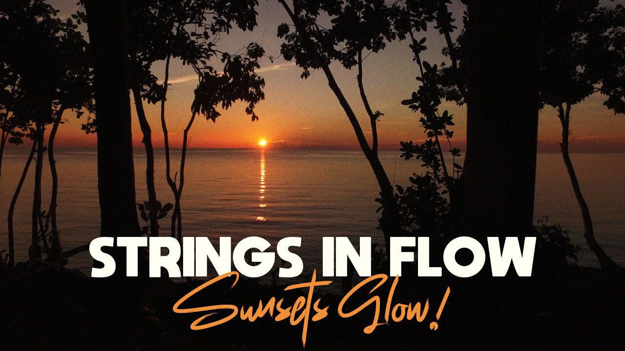 🌅 Tropical Sunset Serenity | Folktronica Bliss | Dreamy Island Escape & Warm Organic Grooves 🎶🏝️