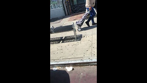The perps are embolden by the criminals in the NY Predators Dept dark triads in authority positions