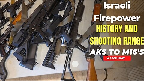 From Galil to M4: The Rifles That Armed the Israeli Military