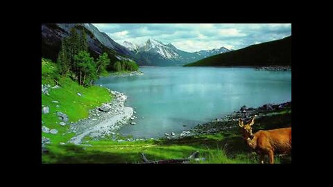 Ismael Perez_12-31-25_2026