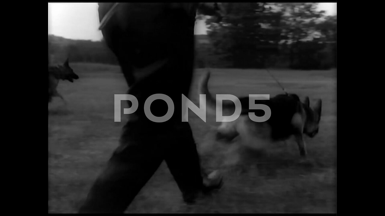 Hell Hounds