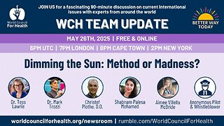 Dimming the Sun: Method or Madness?