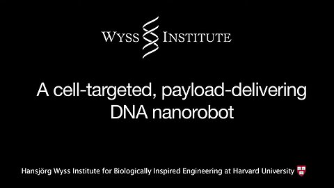 DNA Nano Robot