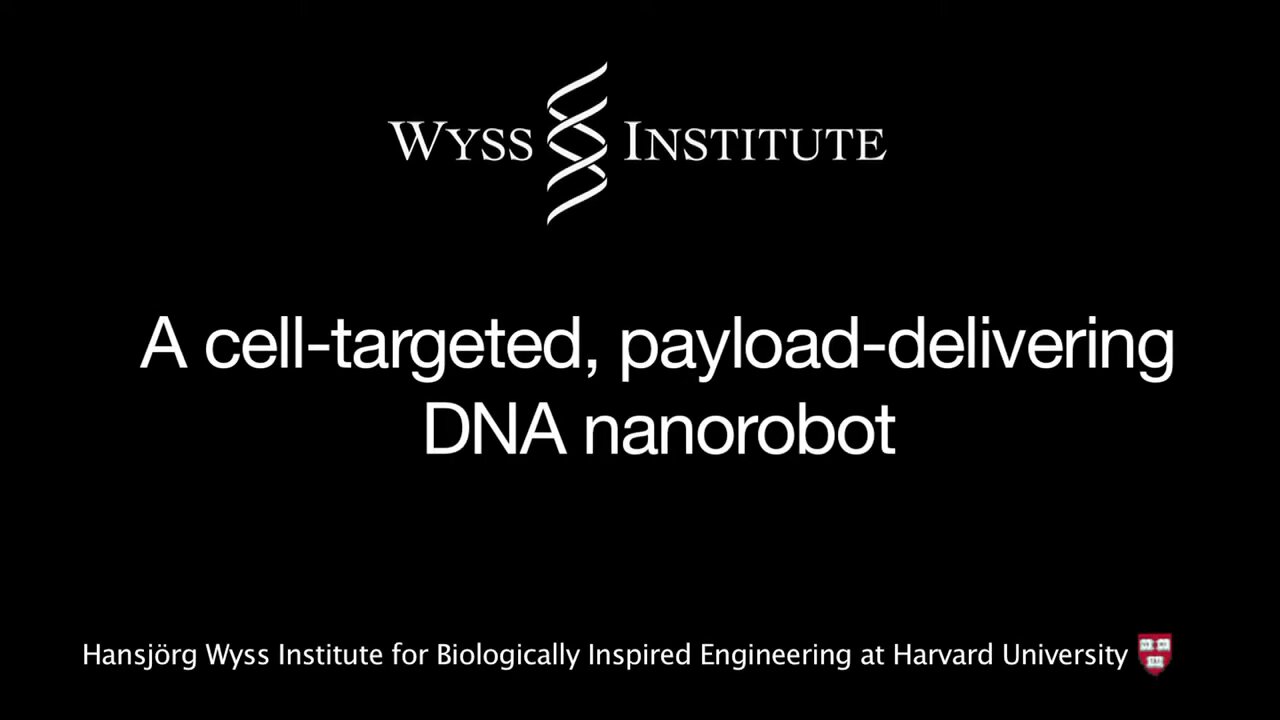 DNA Nano Robot