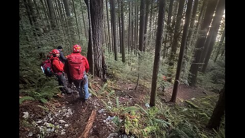 Lions Bay SAR Warns Against Using ChatGPT
