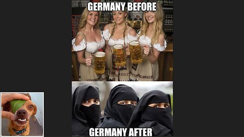 Memes That Will 99.0558% Make You Laugh. (e782)