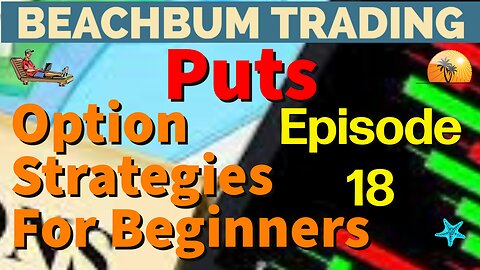 Option Strategies For Beginners With Examples | Episode #18 | Puts