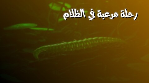 ظلامٌ غامض: رحلةٌ مُرعبة! عالمٌ سريّ من الحيوانات المميتة ☠️ #حيوانات_مفترسة #وثائقي #طبيعة
