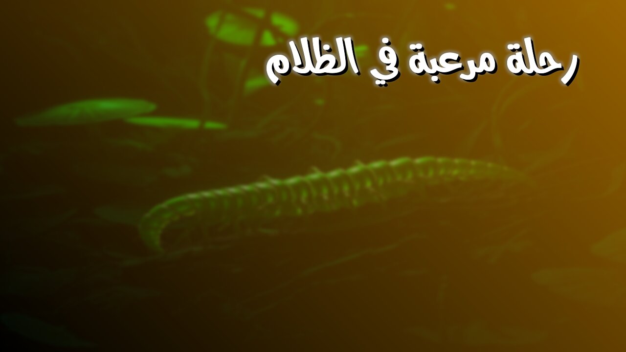 ظلامٌ غامض: رحلةٌ مُرعبة! عالمٌ سريّ من الحيوانات المميتة ☠️ #حيوانات_مفترسة #وثائقي #طبيعة